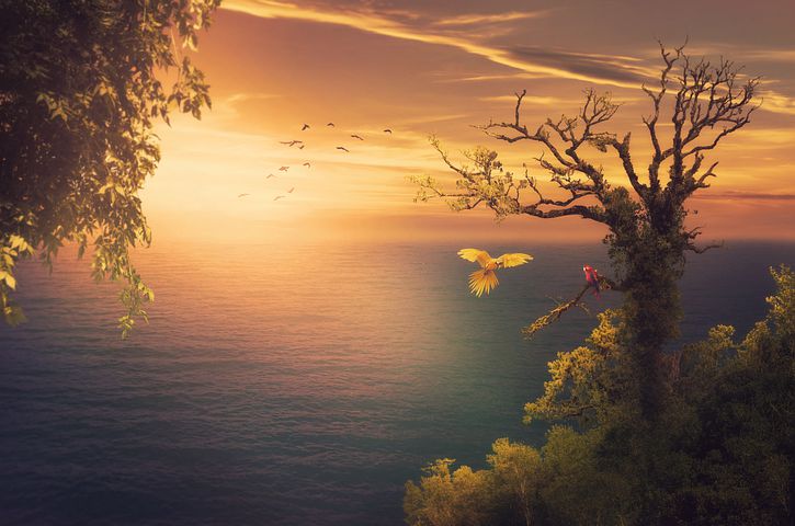 无版权图片素材_微信公众号无版权图片素材_96微信编辑器